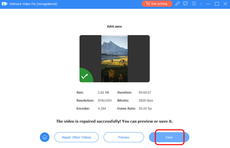 Speichern‑Schaltfläche Vidmore