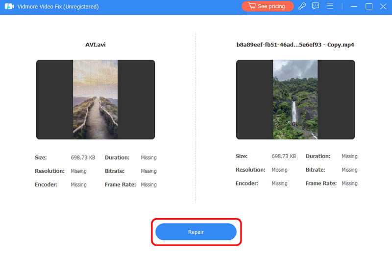 Reparaturvorgang mit Vidmore starten