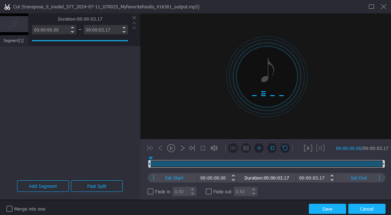 Vidmore Audio-Editor und -Konverter