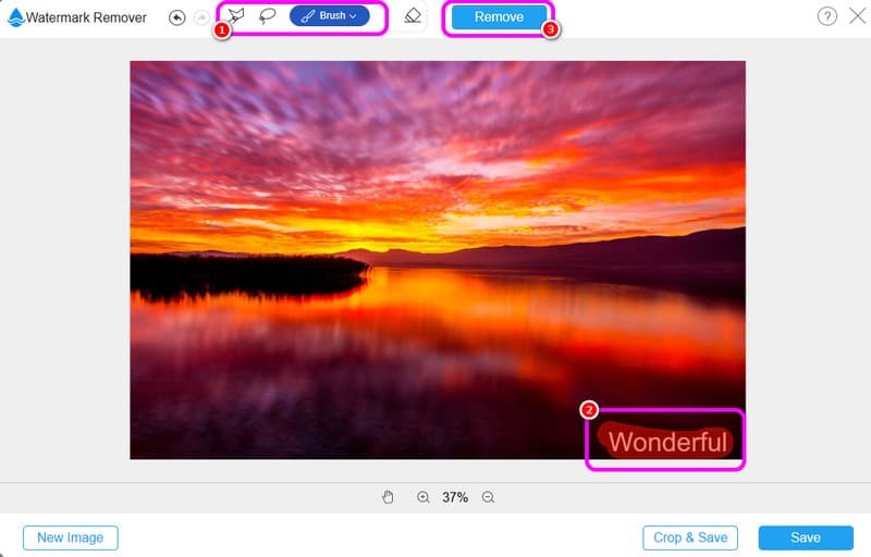Klicken Sie auf die Schaltfläche „Remove“ in Vidmore.
