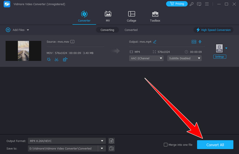 Schaltfläche „Alles konvertieren“ Vidmore