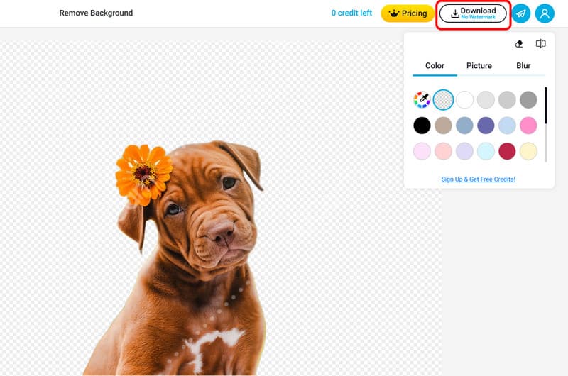 Download-Schaltfläche oben