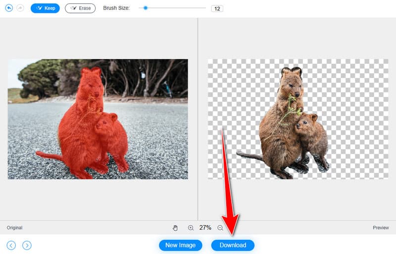Das Bild herunterladen Vidmore