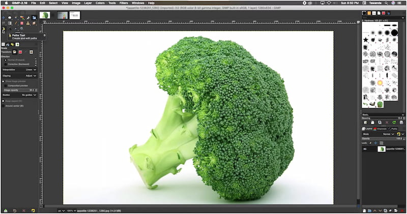 Gnu Bildbearbeitungsprogramm