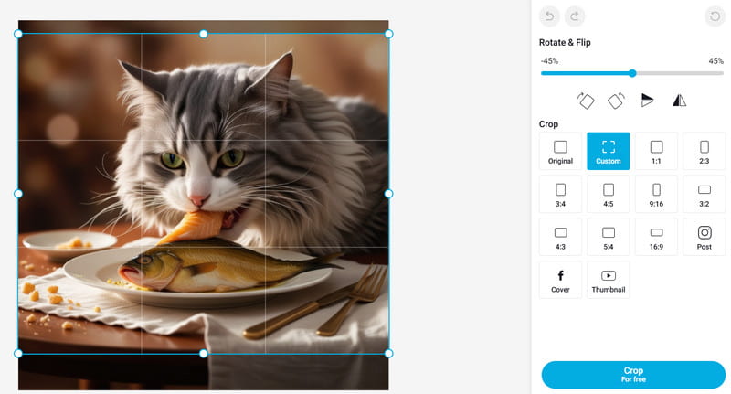 Funktion Bildzuschnitt