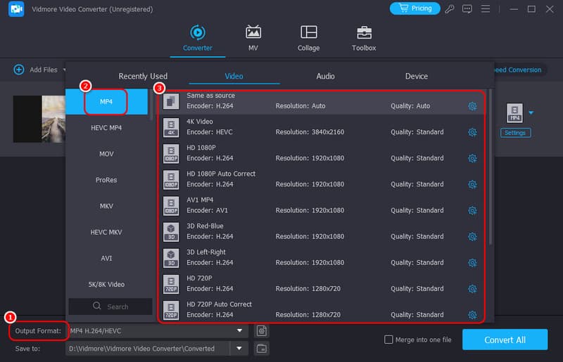 Ausgabeformat Vidmore