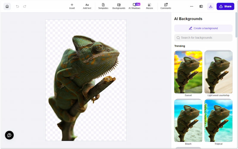 Photoroom Kostenloser Maker für transparente Hintergründe