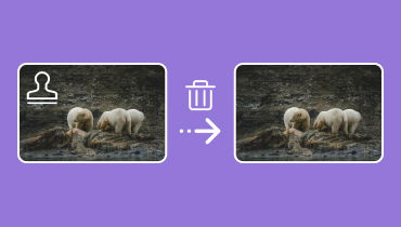 Wasserzeichen aus Bild entfernen