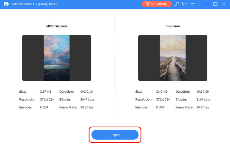 Repair Button File Vidmore