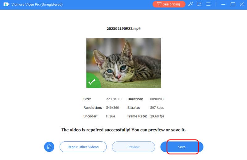 Save The Video Vidmore