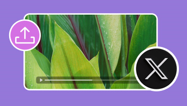 Video auf Twitter hochladen