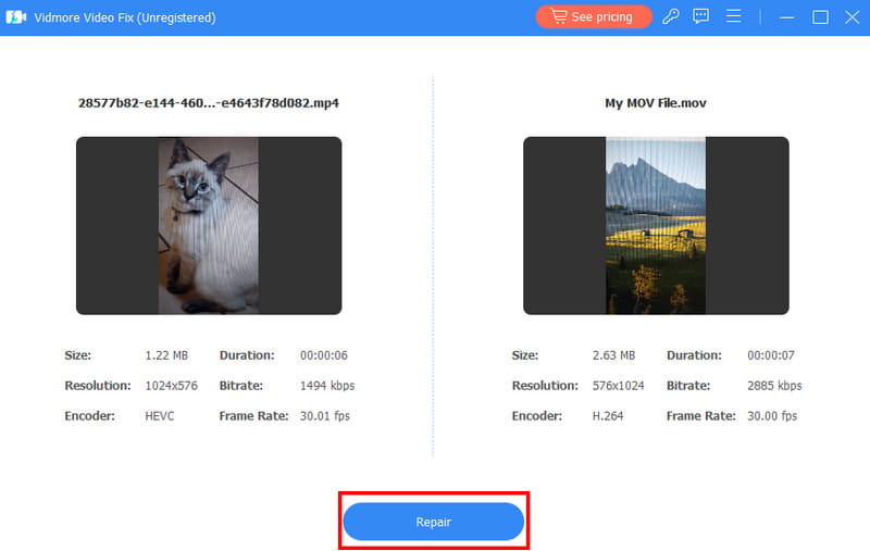 Schaltfläche „Reparieren“ – Vidmore