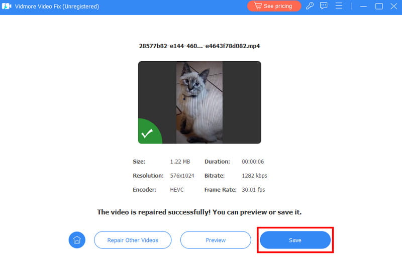 Save Fixed Video Vidmore