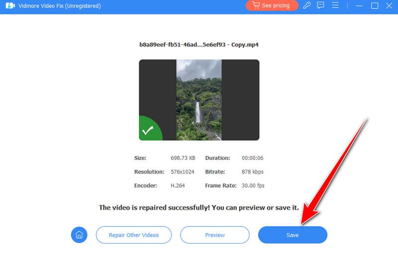 Video mit Vidmore speichern