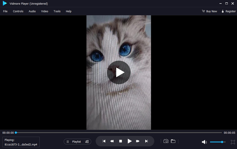 Vidmore Player zum Anschauen von Filmen