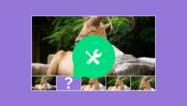 Verlust von Bildern (Dropped Frames) aus Videodatei beheben