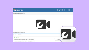 SFWare Video Repair Testbericht