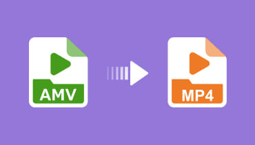 AMV zu MP4