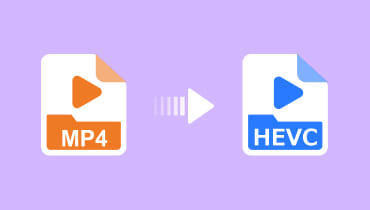 MP4 zu HEVC