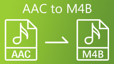 Am meisten empfohlene AAC to M4B Converter: Online & Desktop