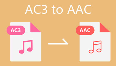 So konvertieren Sie AC3 einfach in AAC unter Windows & Mac