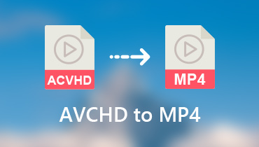 Konvertieren Sie AVCHD in MP4