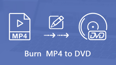 MP4 auf DVD brennen: So einfach klappt es mit den 3 Methoden