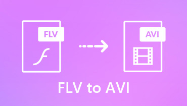 Top 5 FLV to AVI Converter - So kann man FLV in AVI umwandeln