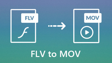 FLV to MOV: So einfach und schnell kann man FLV in MOV umwandeln