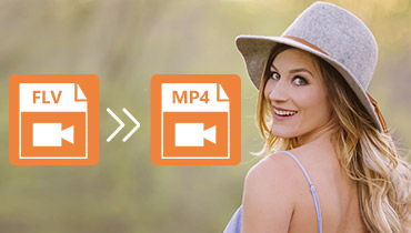 Ihr praktischer Assistent zum Konvertieren von FLV in MP4 Online