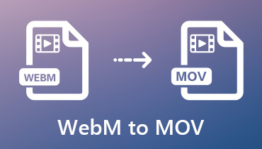Konvertieren Sie WebM in MOV