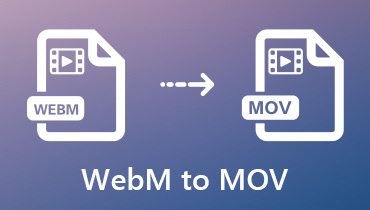 WEBM to MOV: So gelingt es Ihnen mit den 4 besten Tools