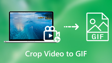 Video to GIF: So einfach kann man GIF aus Video erstellen