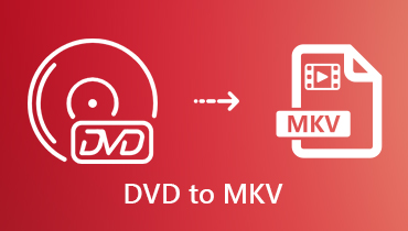 DVD zu MKV