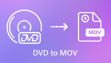 So konvertieren Sie DVD in QuickTime MOV mit DVD in MOV Converter