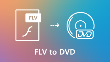 FLV auf DVD