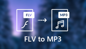 Konvertieren Sie FLV in MP3