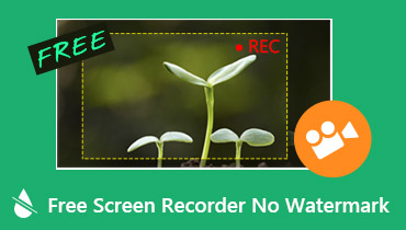 Free Screen Recorder ohne Wasserzeichen