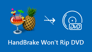 Handbrake rippt DVD nicht: 4 Gründe und die beste Alternative dazu