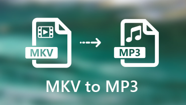 Konvertieren Sie MKV in MP3