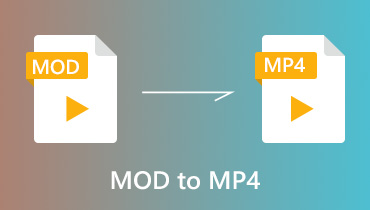 MOD-Datei in MP4 umwandeln mit den 2 besten MOD to MP4 Convertern