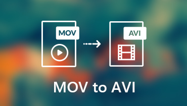 MOV in AVI konvertieren mit den 3 besten MOV to AVI Convertern