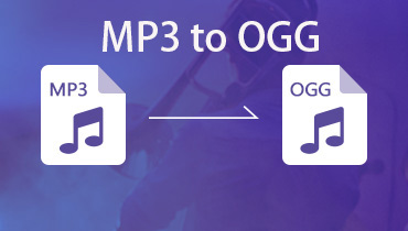 MP3 zu OGG | 4 Möglichkeiten, MP3 in OGG zu konvertieren