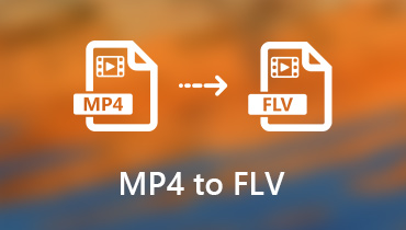 Konvertieren Sie MP4 in FLV