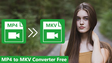 2019 Top 6 kostenlose Videokonverter zur Konvertierung von MP4 in MKV