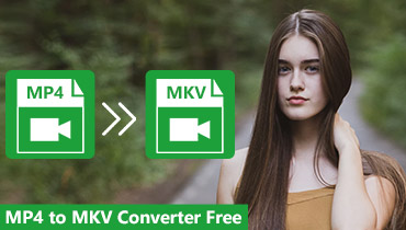 2025 Top 6 kostenlose Videokonverter zur Konvertierung von MP4 in MKV