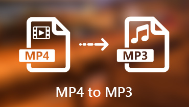 Konvertieren Sie MP4 in MP3