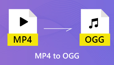 Top 3 Ansätze zum Konvertieren von MP4 in OGG zum Abhören überall