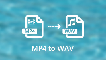 Konvertieren Sie MP4 in WAV