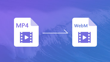 Top 5 MP4 to WebM Converter: So kann man MP4 in WebM umwandeln